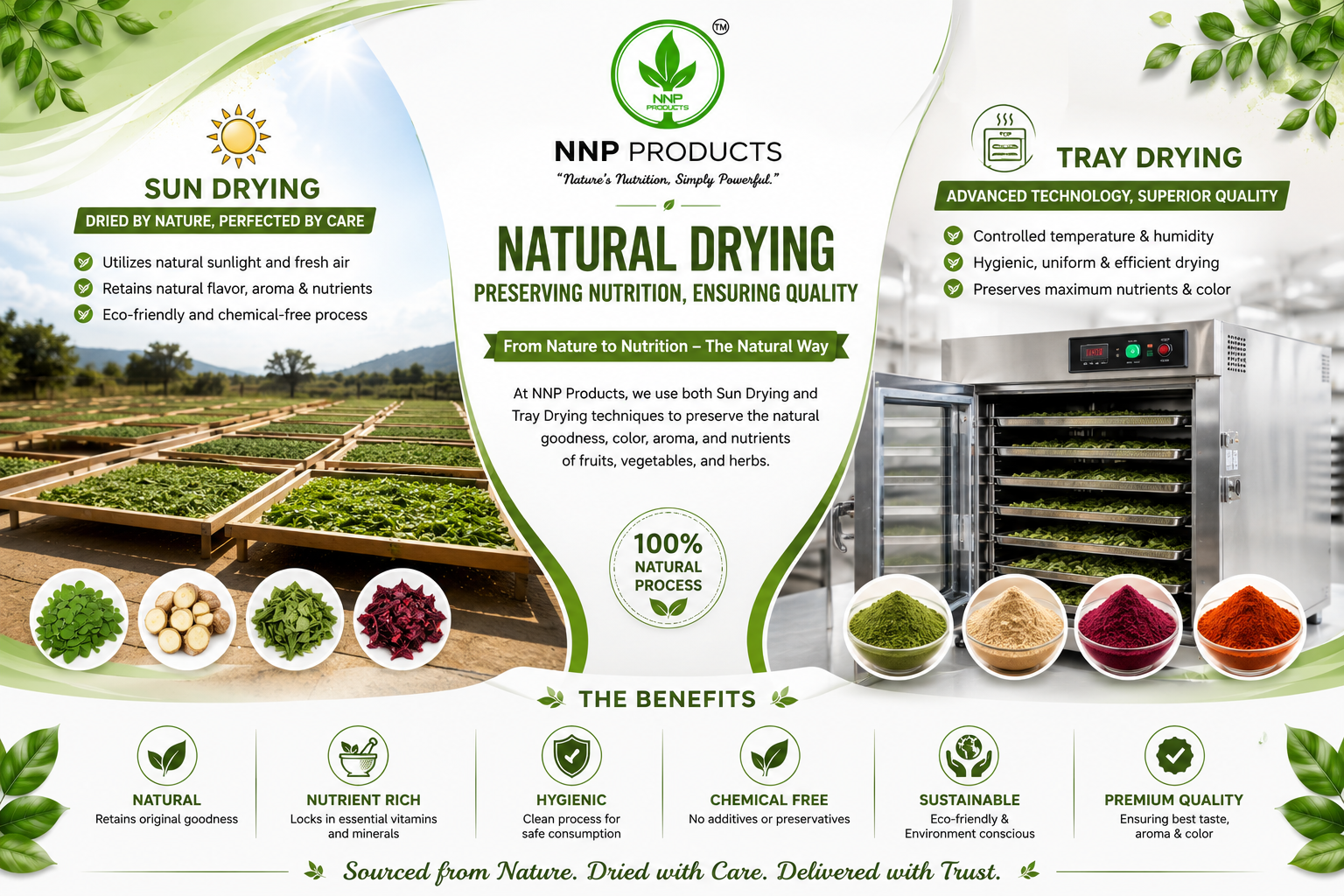 Sun Drying vs. Tray Drying Dehydration Techniques
